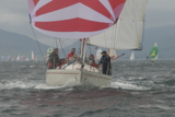 pandanova k1092t whw12 wed gjmc 2527